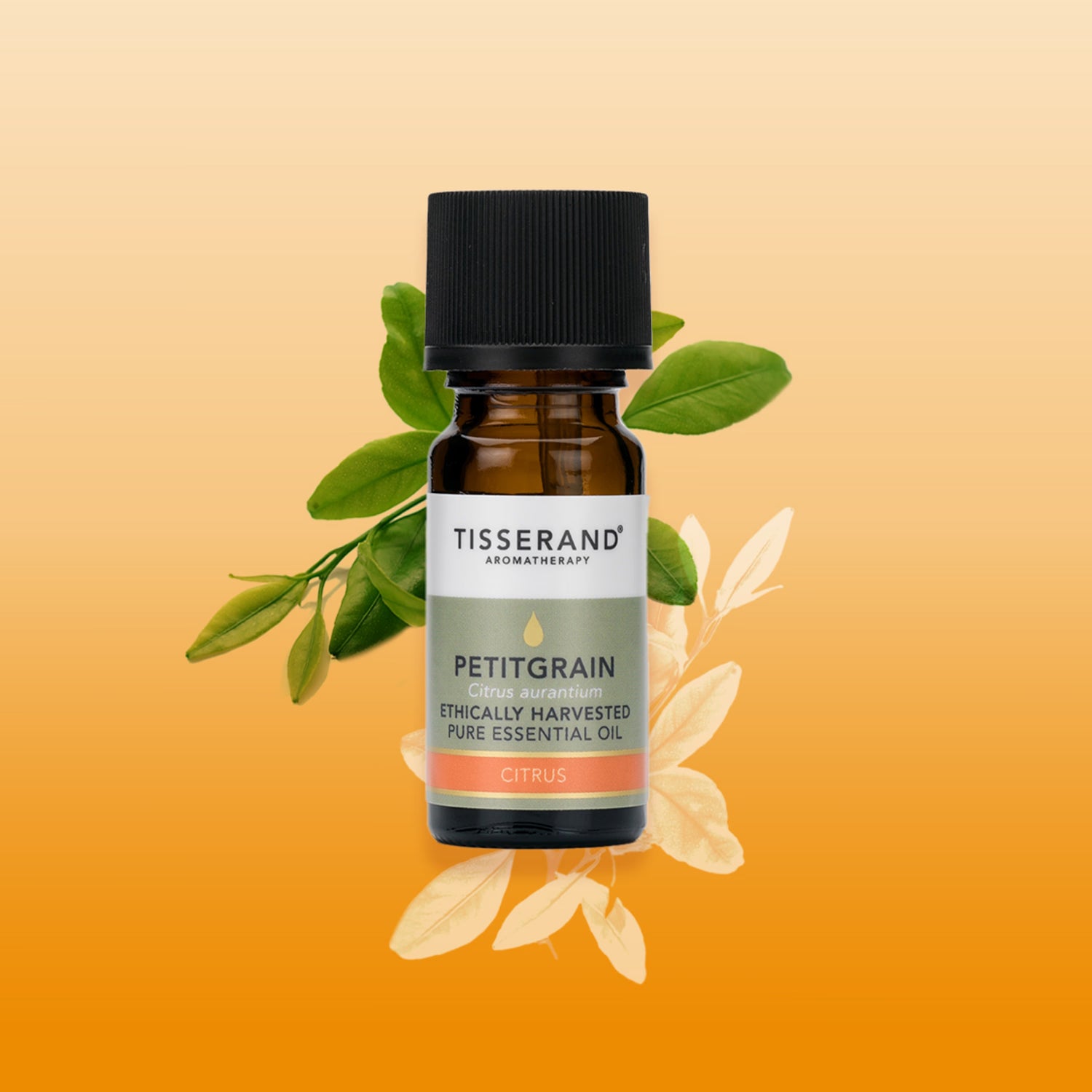 Tisserand Petitgrain Pure Essential Oil 9ml, imported from the UK