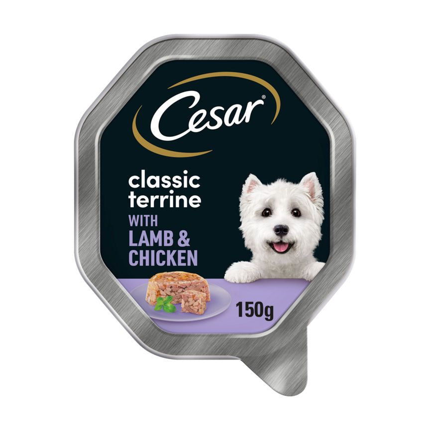 Cesar Classics Terrine Dog Food Tray Lamb & Chicken in Jelly Dog Food & Accessories ASDA   