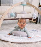 Baby Activity Gym