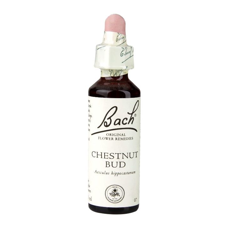 Bach Original Flower Remedies Chestnut Bud 20ml