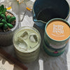 Mushroom Matcha Latte Powder Blend 100g - UK version