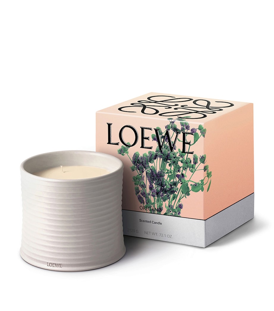 LOEWE Large Oregano scented candle, UK version
