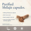 Ayurvediq Shilajit & Ashwagandha capsules 60 - British product