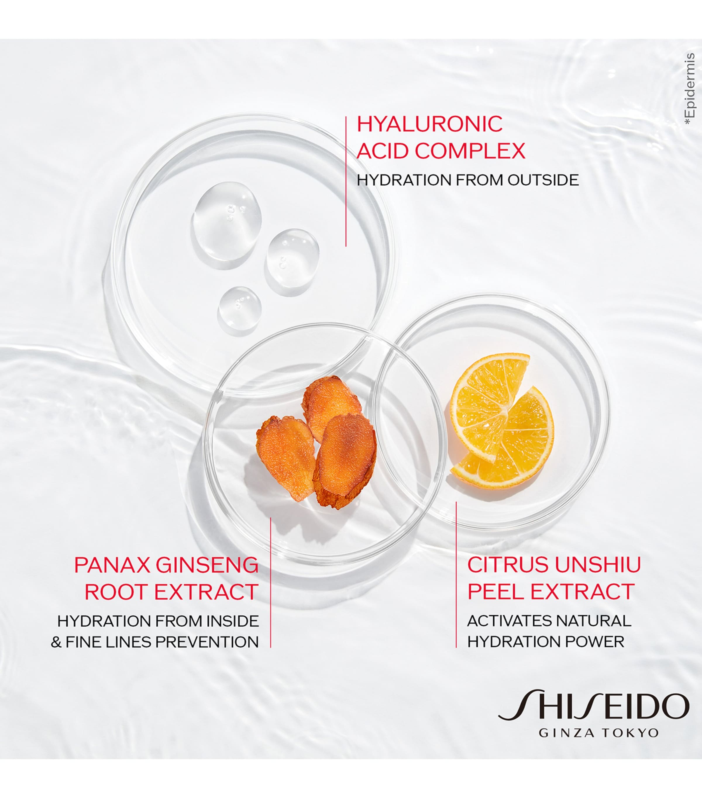 Shiseido Hydrating Day Cream 50ml (British brand)
