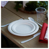 Bagasse 18cm Party Plates   10 per pack