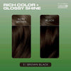 Clairol Natural Instincts Brown Black 3 hair dye, UK version