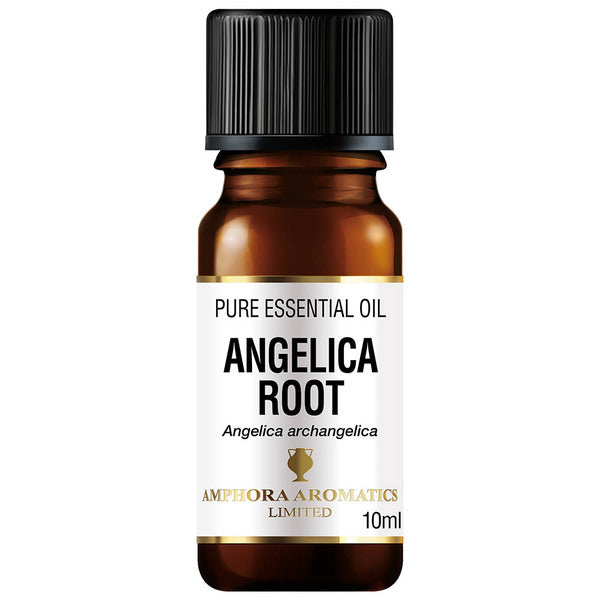 Amphora Aromatics Angelica Root Essential Oil 10ml GOODS Superdrug   