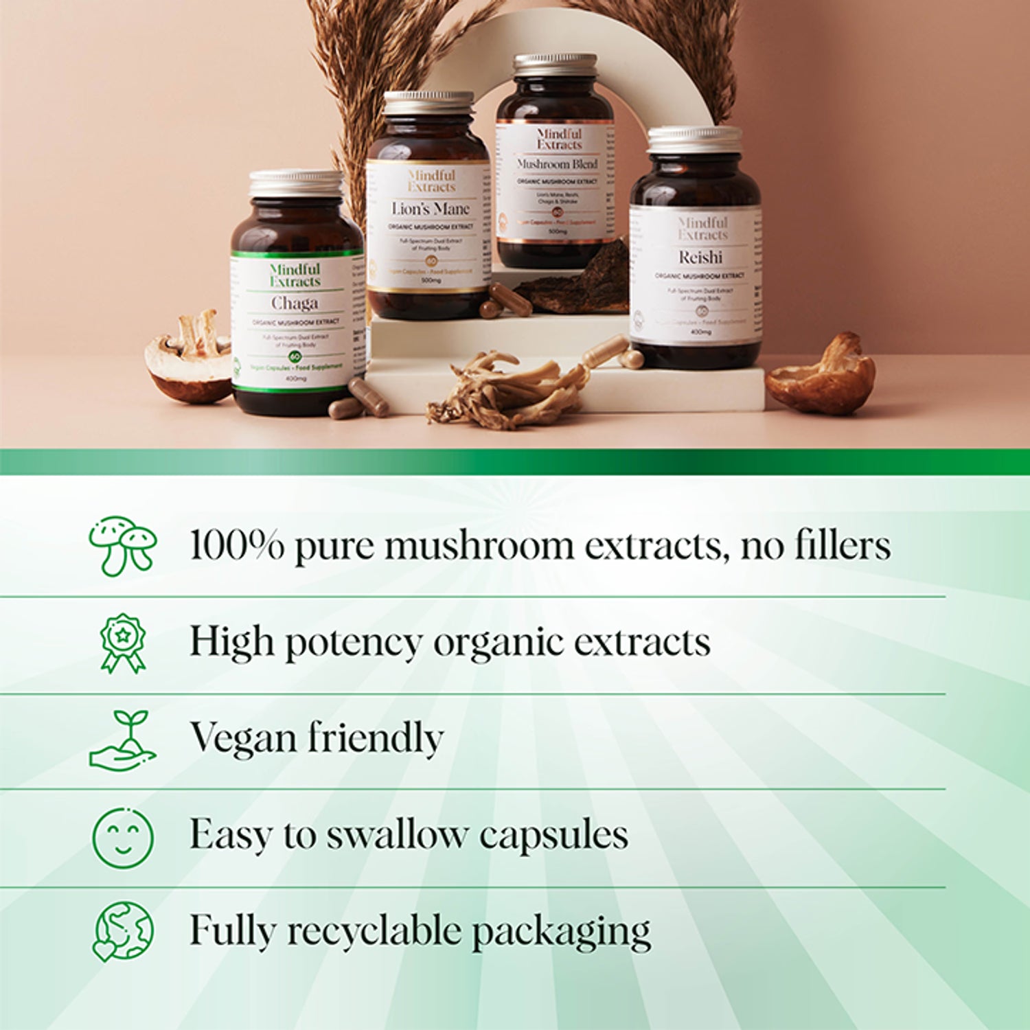 Mindful Extracts Chaga Mushroom Capsules 60, imported from the UK