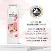 Pantene shampoo Pro-V Miracles Colour Gloss 400ml, imported from the UK