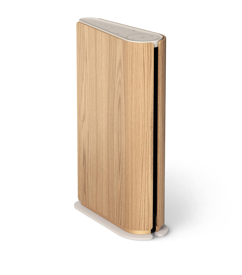 Bang & Olufsen Beosound Emerge AL2 speaker - British product