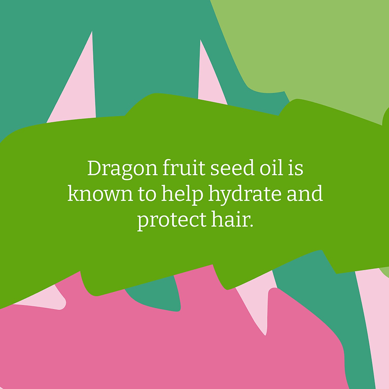 Faith In Nature Conditioner Dragon Fruit 5L - British product