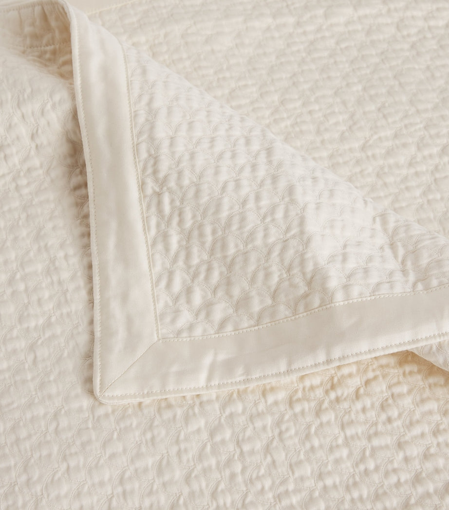 Celso De Lemos square standard pillowcase 65cm x 65cm - British product