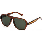 Police Brown SPLP57 sunglasses with injected frame, UK version