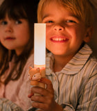 The Zoofamily Zoo Light Fox kids nightlight (British brand)