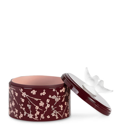 صندوق مزخرف Fleurs de Cerisier من Lalique Harrods - اشترِ عبر الإنترنت من McGrocer