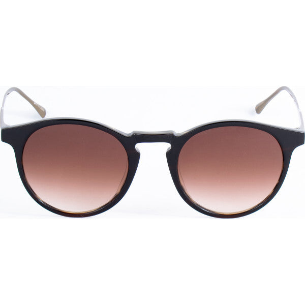 Belstaff Brookland 48 S033 brown sunglasses (British brand)