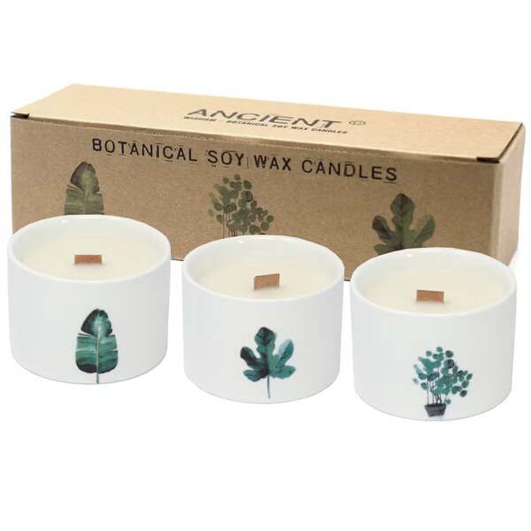 Serenityy Med Japanese Garden soy candle 316g (British brand)
