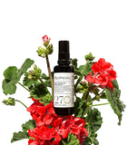 Ilapothecary Beat The Blues room spray 50ml, UK version