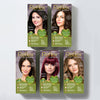 Naturtint hair colour 7.0 Hazelnut Blonde, UK version