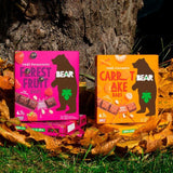 BEAR Bars Forest Fruit Multipack   4 x 27g