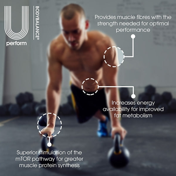 U-Perform chocolate whey collagen protein powder 900g, imported from the UK