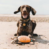 Beco Rough & Tough Recycled Dog Toy Crab