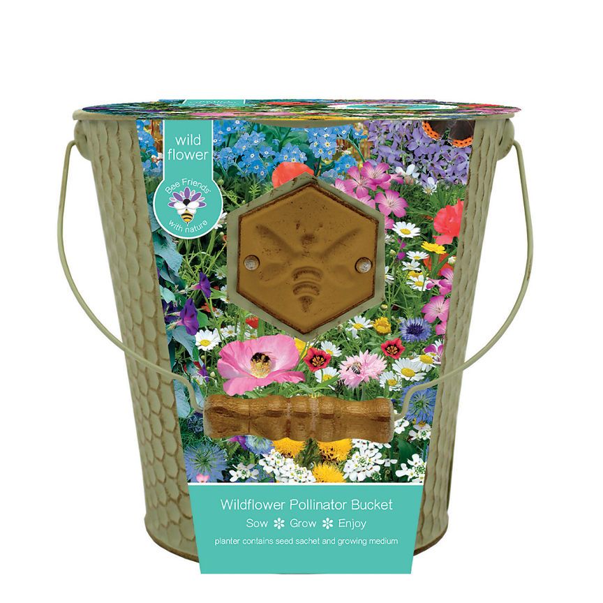 Bees Gifts Honeycomb Bucket with Plaque - Wildflowers Mix Seeds