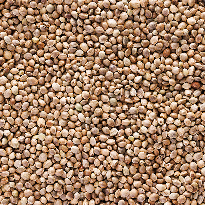 Holland & Barrett Roasted Hemp Seeds 200g, UK version