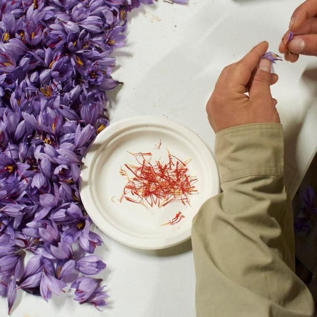 Belazu Category 1 Spanish Saffron   1g