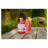 Berkshire Botanical Rhubarb & Raspberry Gin