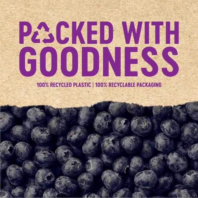 BerryWorld Blueberries   150g - McGrocer