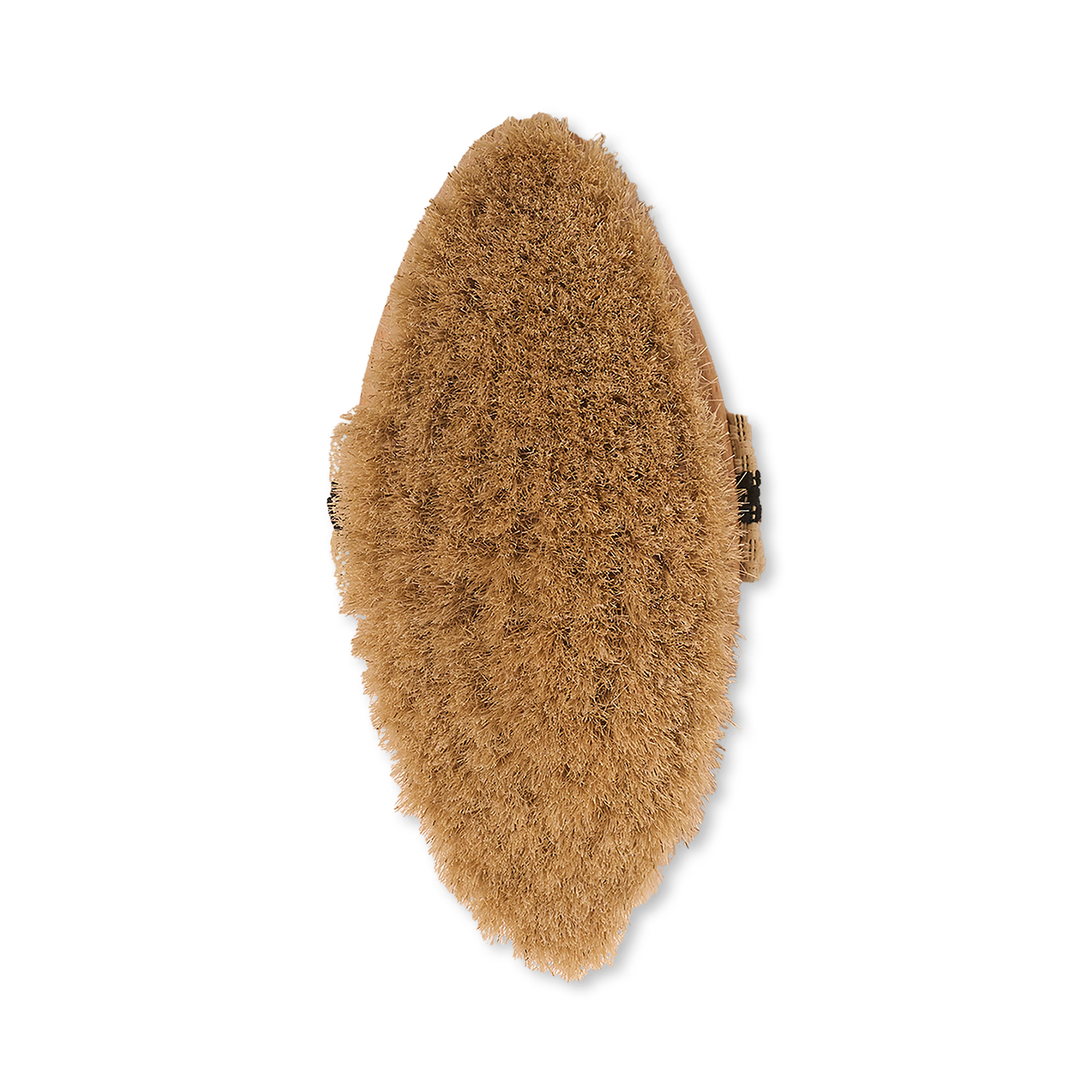 Horse hair dry body brush, UK version