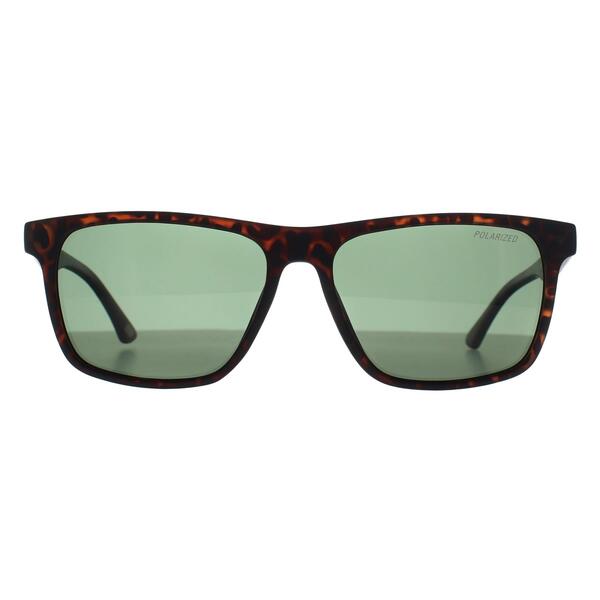 Skechers SE6268 brown polarized men sunglasses (British brand)