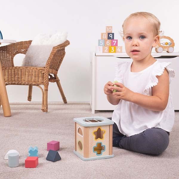 Bigjigs Toys Wooden Shape Sorter