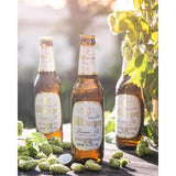 Bitburger Premium Pils   12 x 330ml