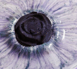 Black Rose Bath Bomb