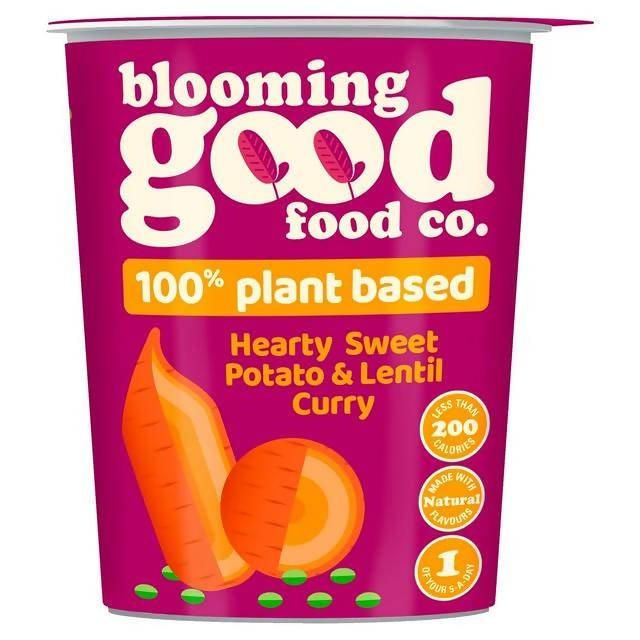 Blooming Good Food Sweet Potato & Lentil Curry 55g