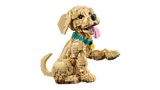 LEGO Golden Retriever Puppy building kit 2,102-piece set (British brand)