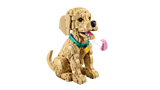 LEGO Golden Retriever Puppy building kit 2,102-piece set (British brand)