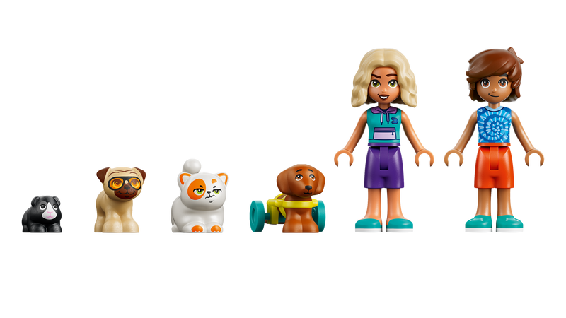 LEGO Friends Fun Water Park Day playset with pets - British product