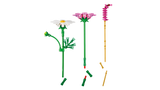 LEGO Botanicals Cosmos Flowers building set 171 pieces, UK version