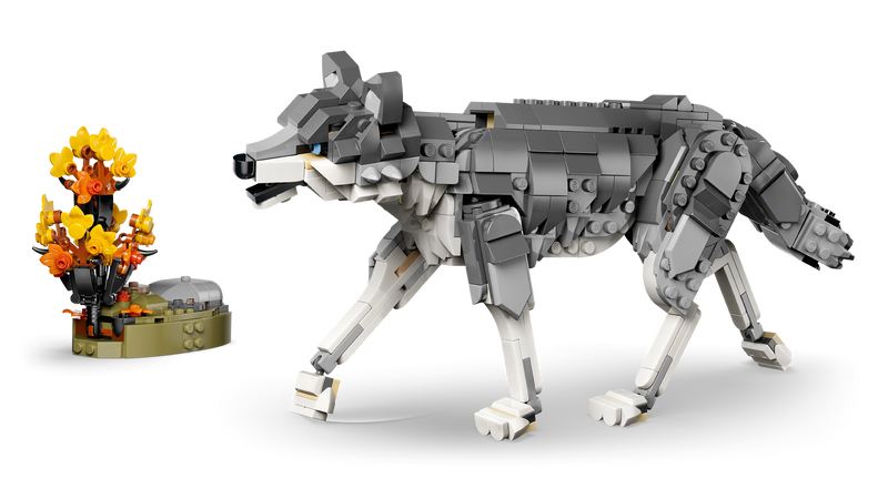 LEGO Creator Gray Wolf building set 657 pieces, UK version