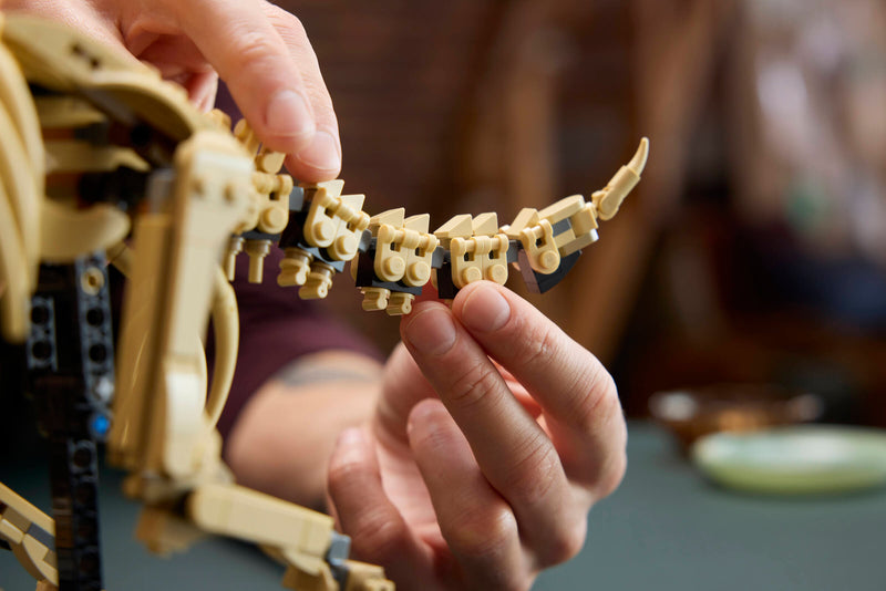LEGO Triceratops fossil skeleton model, imported from the UK