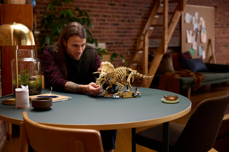 LEGO Triceratops fossil skeleton model, imported from the UK