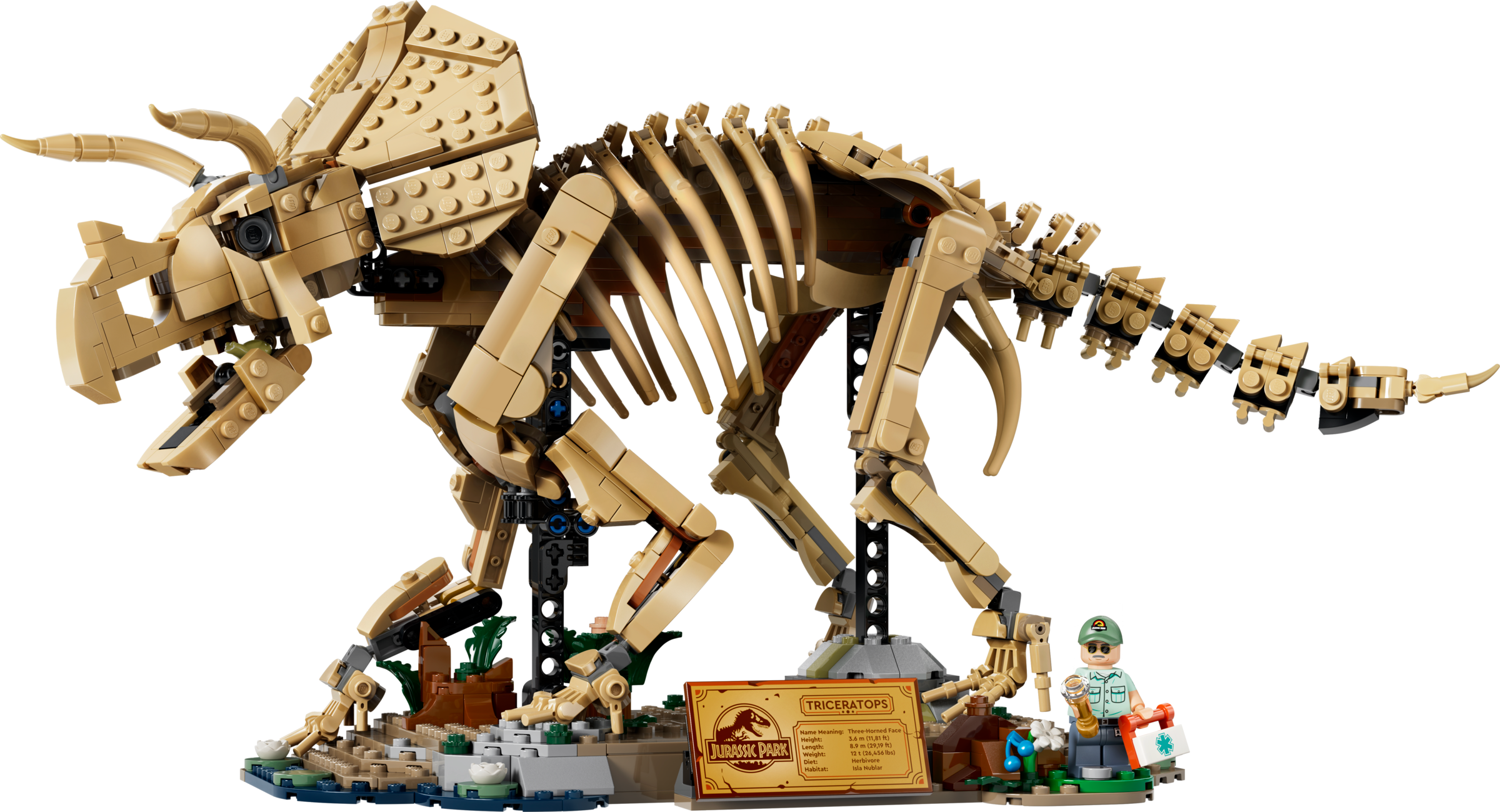 LEGO Triceratops fossil skeleton model, imported from the UK