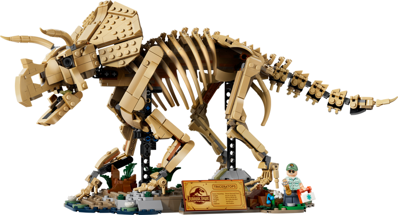LEGO Triceratops fossil skeleton model, imported from the UK