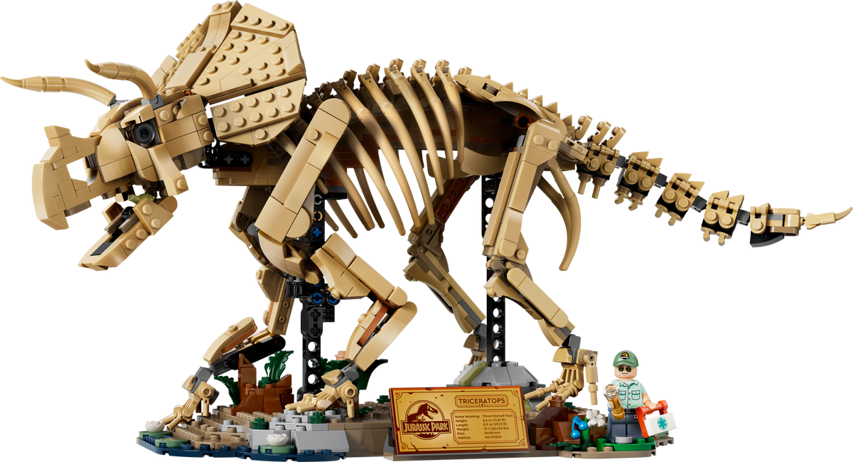 LEGO Triceratops fossil skeleton model, imported from the UK