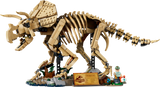 LEGO Triceratops fossil skeleton model, imported from the UK