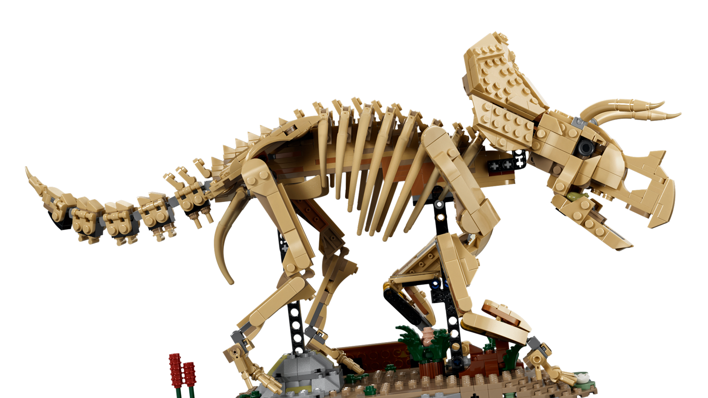 LEGO Triceratops fossil skeleton model, imported from the UK