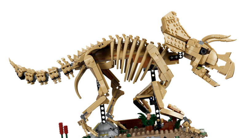LEGO Triceratops fossil skeleton model, imported from the UK